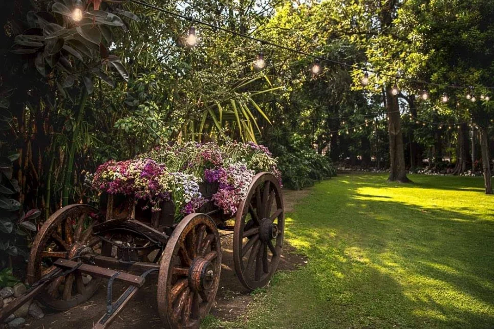 Jardín con árboles, luces y una carreta cubierta de flores